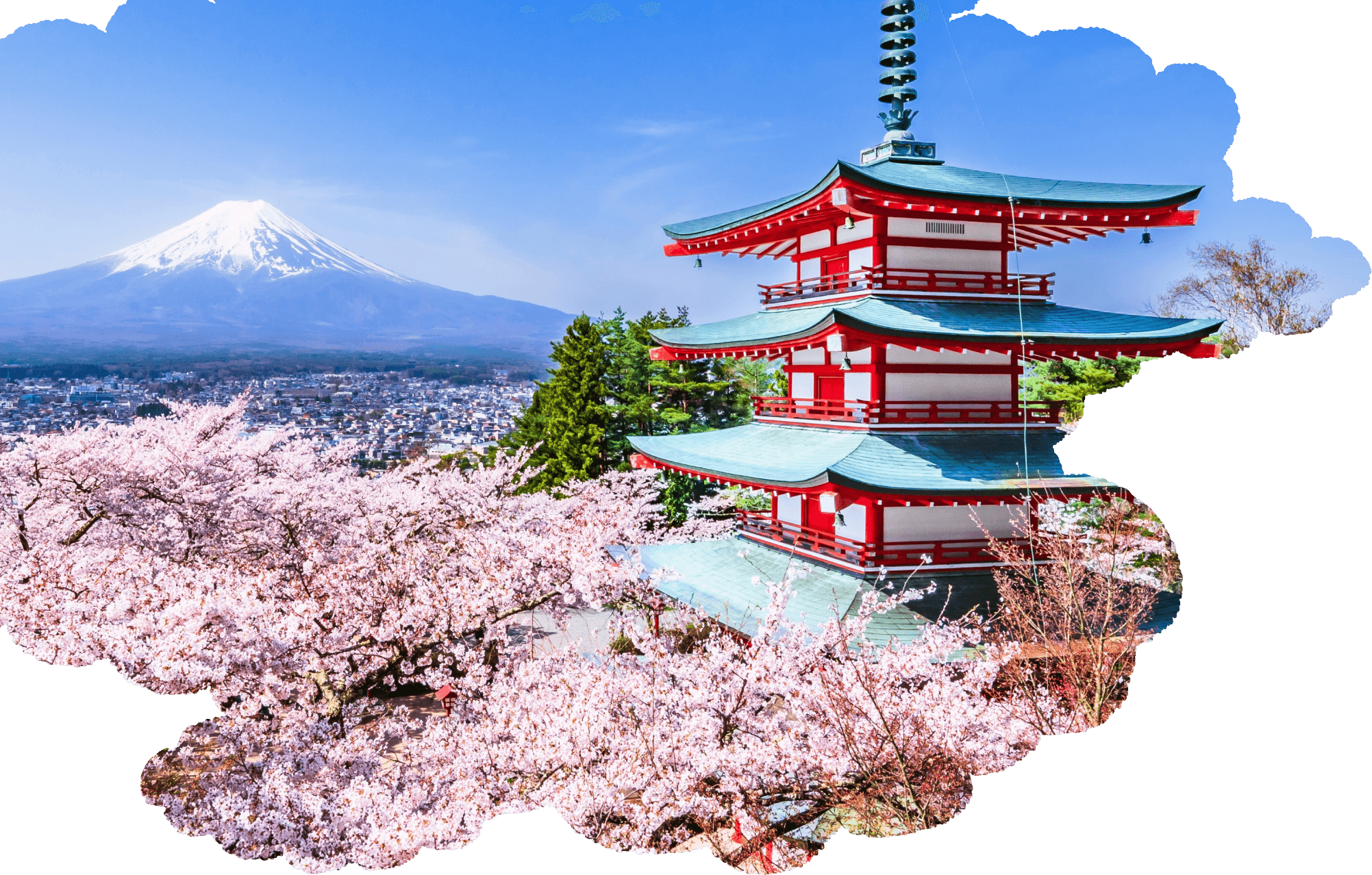 桜と富士山